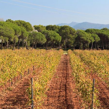 Le Gite Des Cinq CepagesFréjus エクステリア 写真