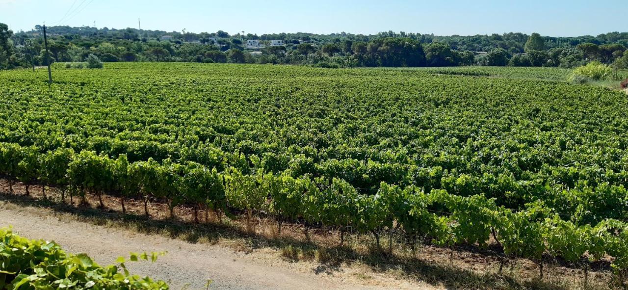 Le Gite Des Cinq CepagesFréjus エクステリア 写真