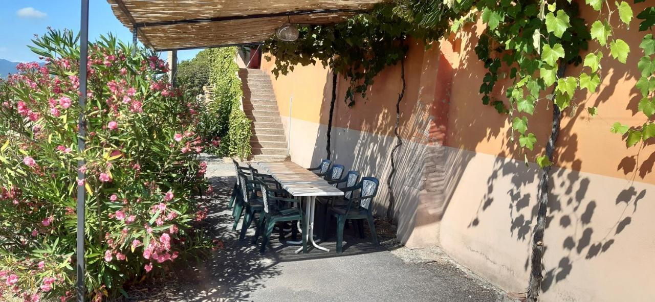 Le Gite Des Cinq CepagesFréjus エクステリア 写真