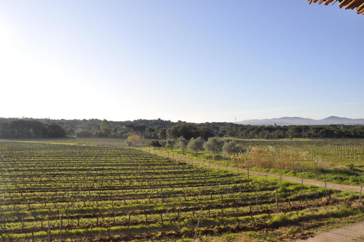 Le Gite Des Cinq CepagesFréjus エクステリア 写真