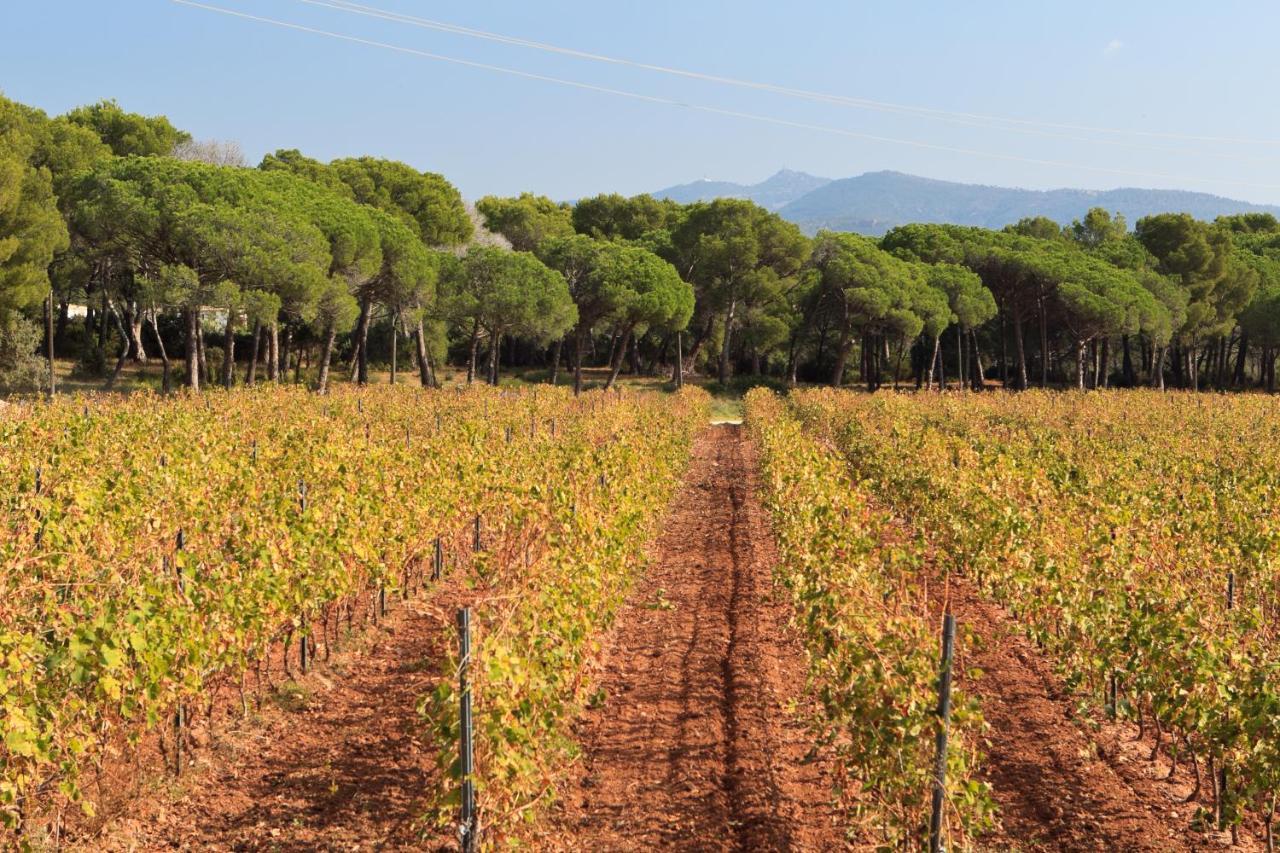 Le Gite Des Cinq CepagesFréjus エクステリア 写真